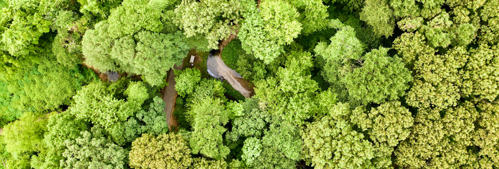 Protect natural resources and biodiversity 